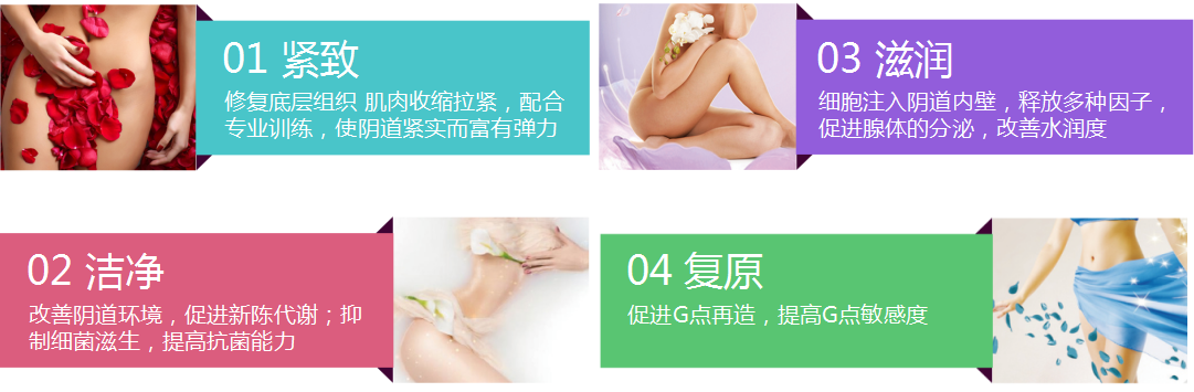 子宫维养